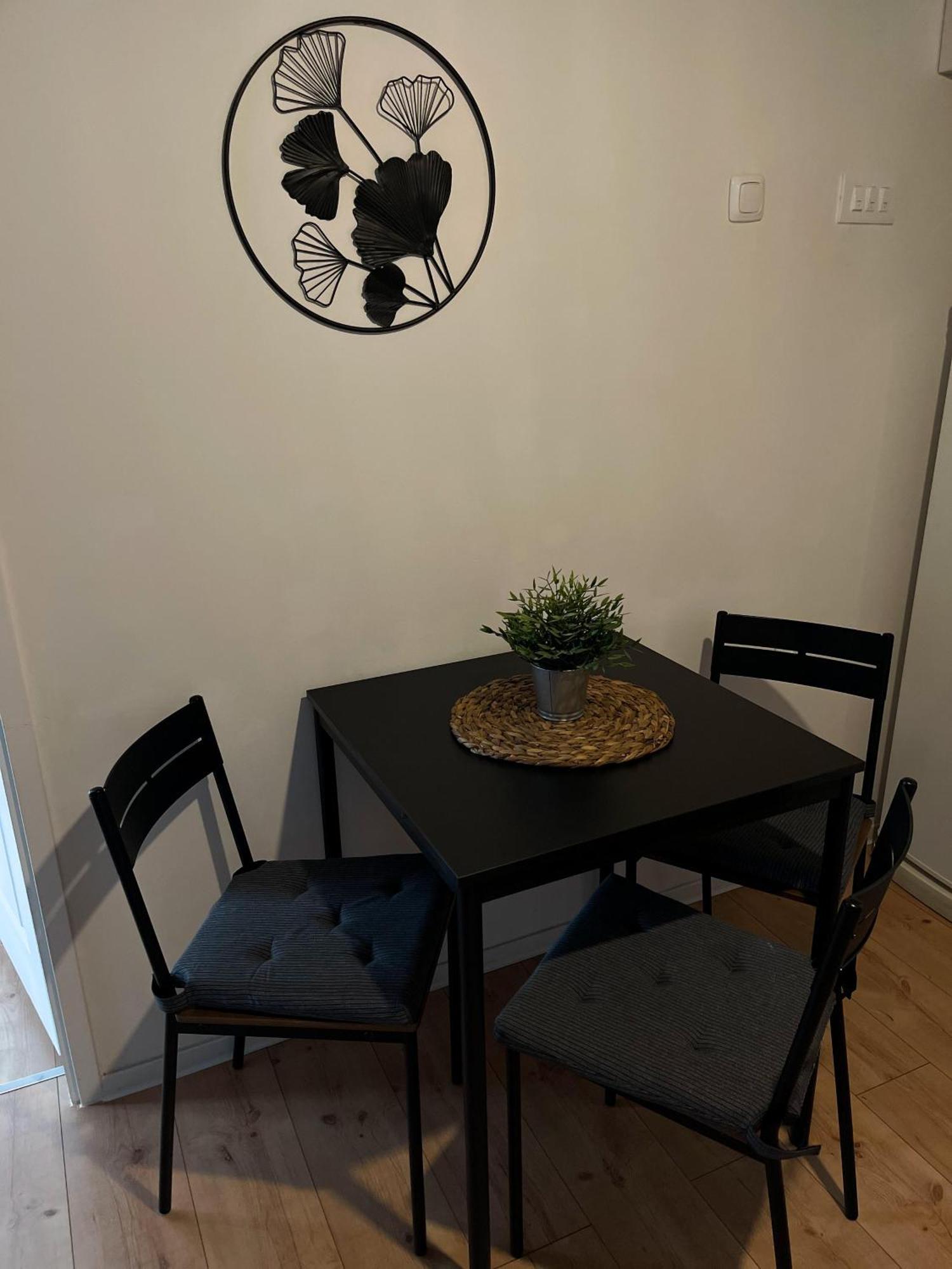 4 Stars Apartments Near Airport Велика-Горица Экстерьер фото